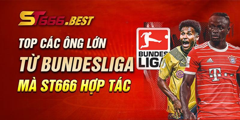 Top các ông lớn từ Bundesliga mà ST666 hợp tác